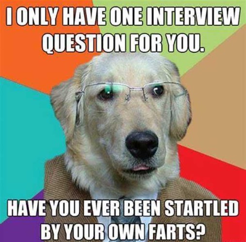 Startled By Farts | image tagged in dogs,funny dog memes,farts,scared,interview,loud fart | made w/ Imgflip meme maker