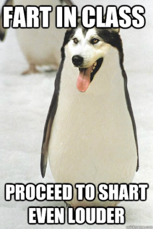 Shart Loudly | image tagged in shart,fart,dogs,school,embarrassing,diarrhea | made w/ Imgflip meme maker