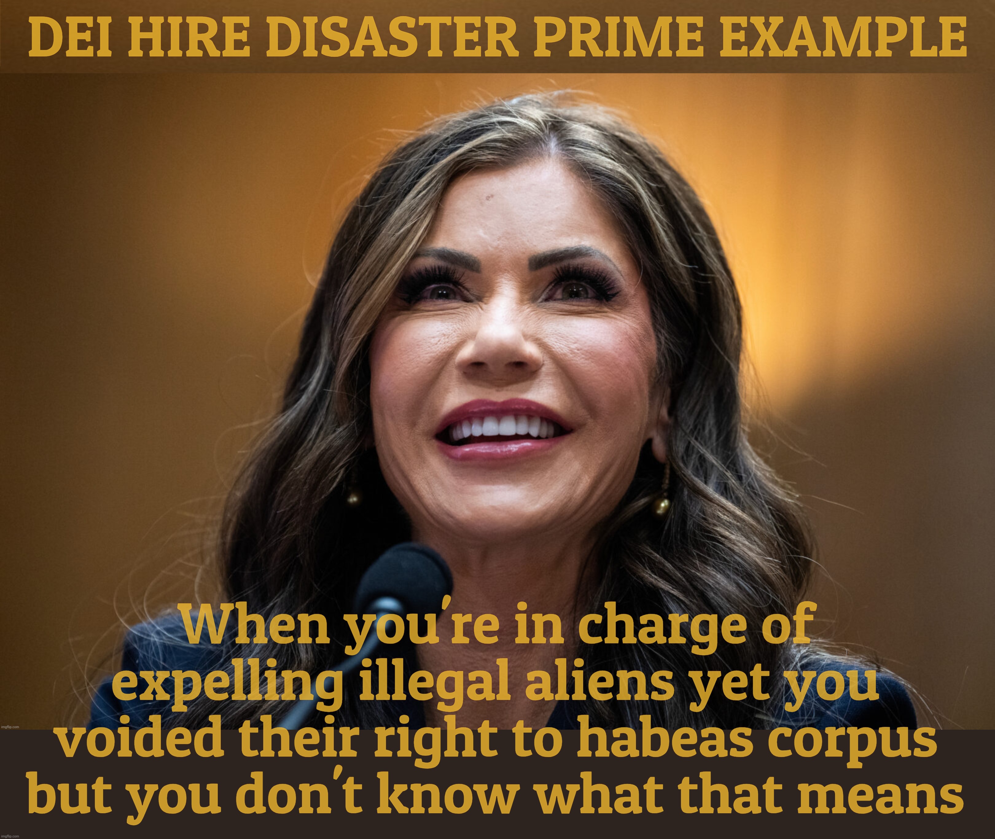 DEI HIRE DISASTER PRIME EXAMPLE; When you're in charge of expelling illegal aliens yet you voided their right to habeas corpus but you don't know what that means | made w/ Imgflip meme maker