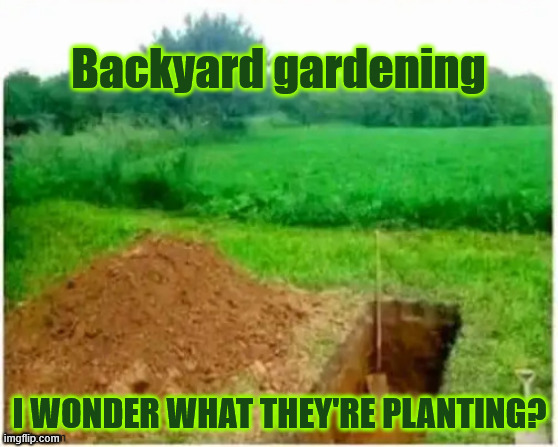 Backyard gardens | Backyard gardening; I WONDER WHAT THEY'RE PLANTING? | image tagged in dark humour,backyard gardens | made w/ Imgflip meme maker