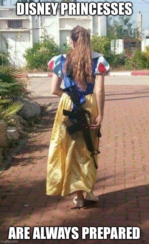 Princess | DISNEY PRINCESSES; ARE ALWAYS PREPARED | image tagged in brunette,disney,princess,gun | made w/ Imgflip meme maker