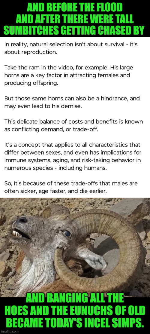 Funny | AND BEFORE THE FLOOD AND AFTER THERE WERE TALL SUMBITCHES GETTING CHASED BY; AND BANGING ALL THE HOES AND THE EUNUCHS OF OLD BECAME TODAY'S INCEL SIMPS. | image tagged in funny,flood,giants,simps,incel,hoes | made w/ Imgflip meme maker