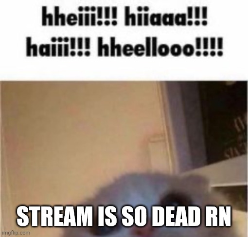 hheiii hiiaaa haiii hheellooo cat | STREAM IS SO DEAD RN | image tagged in hheiii hiiaaa haiii hheellooo cat | made w/ Imgflip meme maker