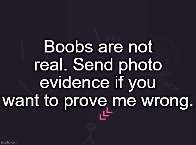 vik's image | Boobs are not real. Send photo evidence if you want to prove me wrong. | image tagged in vik's image | made w/ Imgflip meme maker