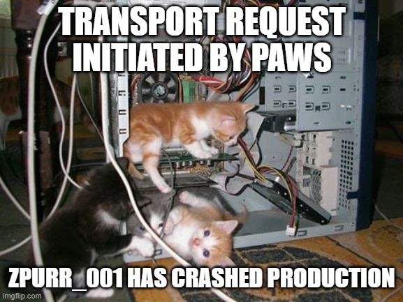 cats crashes sap | TRANSPORT REQUEST INITIATED BY PAWS; ZPURR_001 HAS CRASHED PRODUCTION | image tagged in sap crash,essentials,cats | made w/ Imgflip meme maker