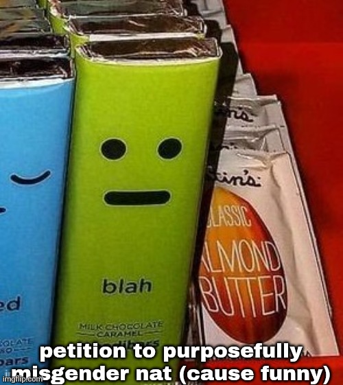 blah | petition to purposefully misgender nat (cause funny) | image tagged in blah | made w/ Imgflip meme maker