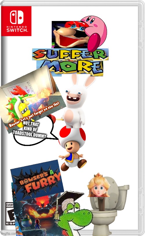 Suffer more + bowsers a furry | NOT THAT KIND OF TOADSTOOL DUMMY | image tagged in nintendo switch | made w/ Imgflip meme maker