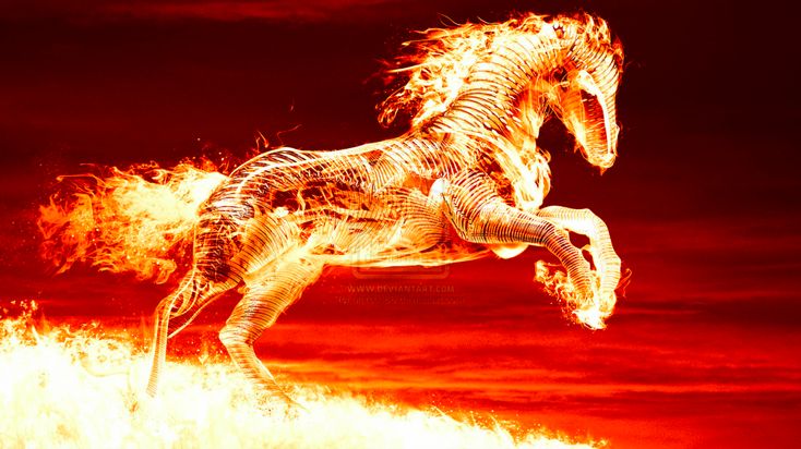 Fire Horse Blank Meme Template