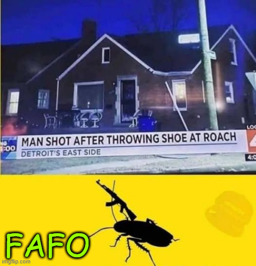 What were they thinking? | FAFO | image tagged in memes,cockroach,fights back | made w/ Imgflip meme maker