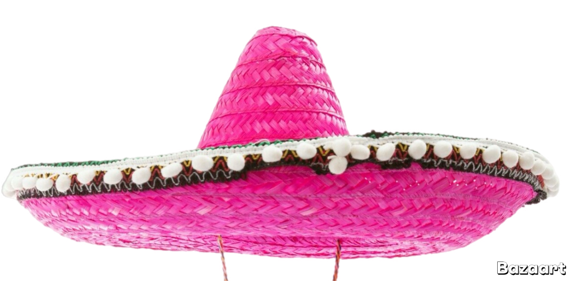 Pink sombrero Blank Meme Template