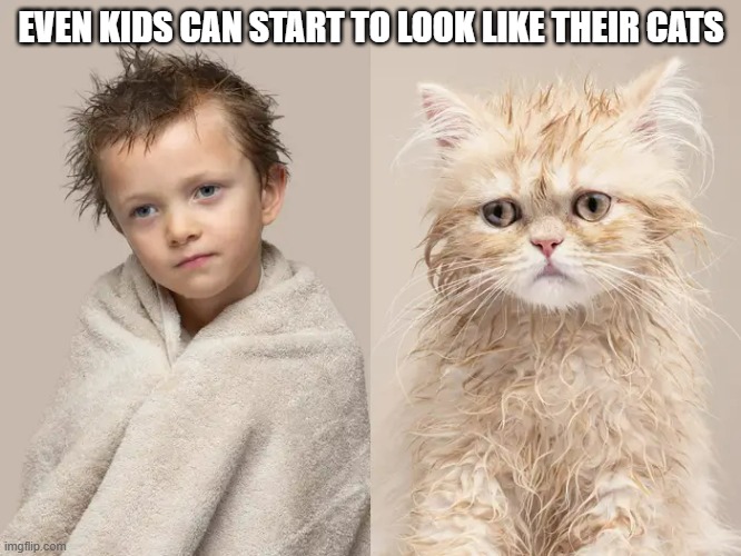 Even kids can start to look like their cats.  - funny - | EVEN KIDS CAN START TO LOOK LIKE THEIR CATS | image tagged in cats,funny,kitten,children,humor | made w/ Imgflip meme maker