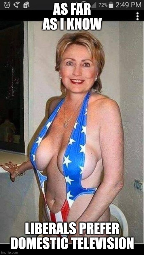 Hillary Clinton  | AS FAR AS I KNOW LIBERALS PREFER
DOMESTIC TELEVISION | image tagged in hillary clinton | made w/ Imgflip meme maker