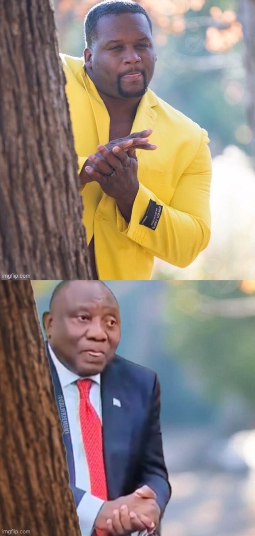 South African president “hiding behind tree” | @CALJFREEMAN1 | image tagged in black guy hiding behind tree,south africa,maga,african kids dancing,democrats,republicans | made w/ Imgflip meme maker