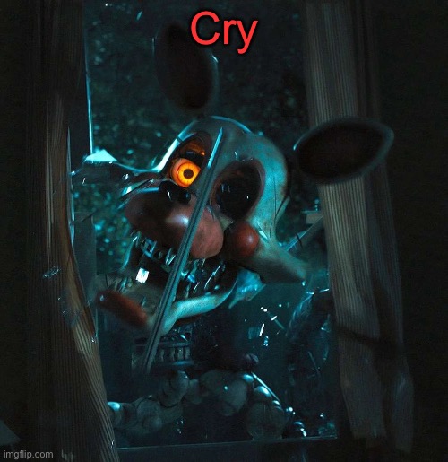 Cry | image tagged in mangle | made w/ Imgflip meme maker