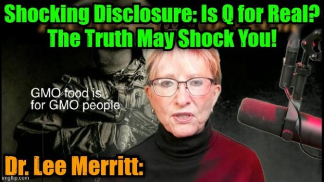 Dr. Lee Merritt: Shocking Disclosure: Is Q for Real? The Truth May Shock You! (Video) 