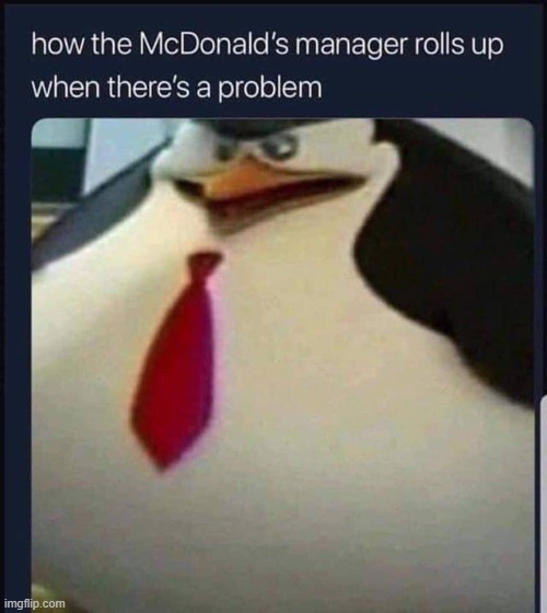 Ice cream machine? What's that? | image tagged in thicc skipper,memes,funny,mcdonalds | made w/ Imgflip meme maker