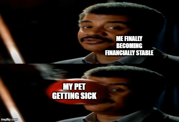 I am never going to financially recover from this | ME FINALLY BECOMING FINANCIALLY STABLE; MY PET GETTING SICK | image tagged in neil degrasse tyson,memes,funny,pets,relatable | made w/ Imgflip meme maker