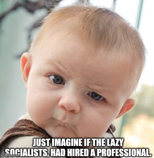 Skeptical Baby Meme | JUST IMAGINE IF THE LAZY SOCIALISTS, HAD HIRED A PROFESSIONAL. | image tagged in memes,skeptical baby | made w/ Imgflip meme maker