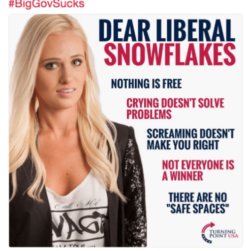 Liberal Snowflakes | image tagged in snowflakes,liberal privilege,liberal logic,liberal hypocrisy,crying democrats,crybabies | made w/ Imgflip meme maker