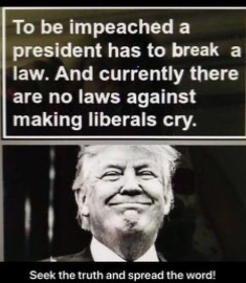 Liberal Tears | image tagged in liberal tears,trump,liberal privilege,crybabies,libtards,crying democrats | made w/ Imgflip meme maker