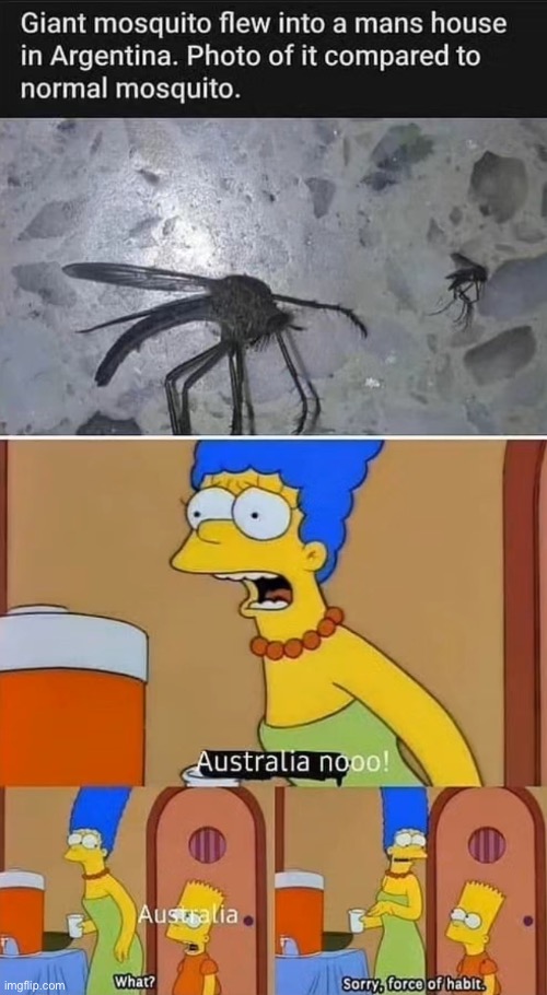 Force of habit | image tagged in memes,argentina,australia,mosquito,giant | made w/ Imgflip meme maker