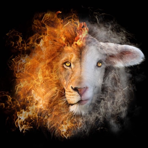 Lion Of Judah Lamb Of God | image tagged in christians christianity,prophetic art,jesus christ,holy spirit,lion lamb,god the father | made w/ Imgflip meme maker