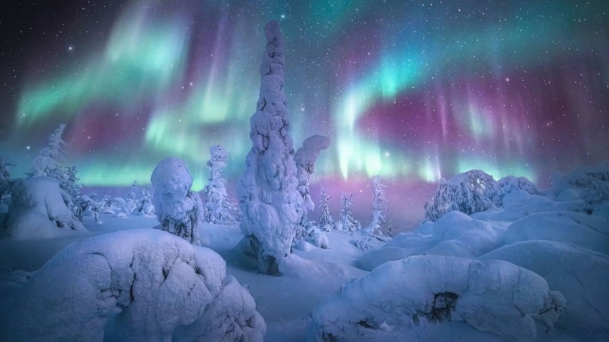 One of the most beautiful Scandinavian scenes | image tagged in scandinavian heaven,northern lights,beautiful,aurora,snowy night,winter | made w/ Imgflip meme maker