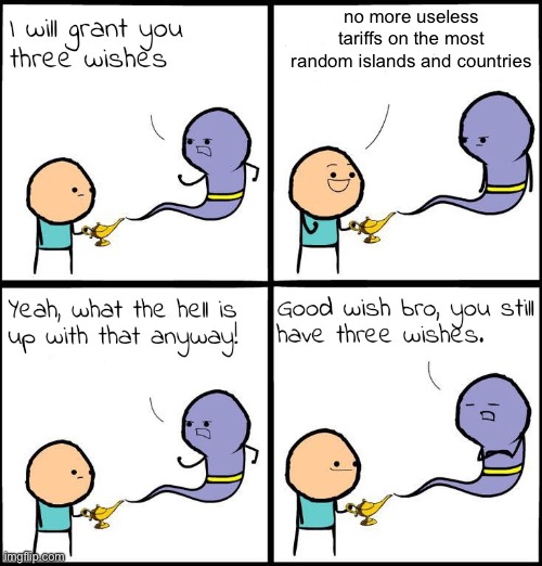 WHO sent a tariff to the most random place ever? | no more useless tariffs on the most random islands and countries | image tagged in 3 wishes,tariffs | made w/ Imgflip meme maker