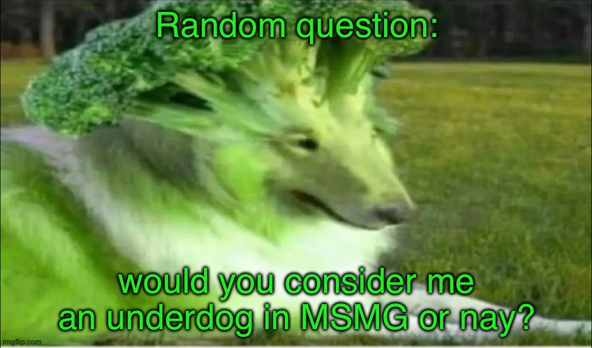 Broco dogo | Random question:; would you consider me an underdog in MSMG or nay? | image tagged in broco dogo | made w/ Imgflip meme maker