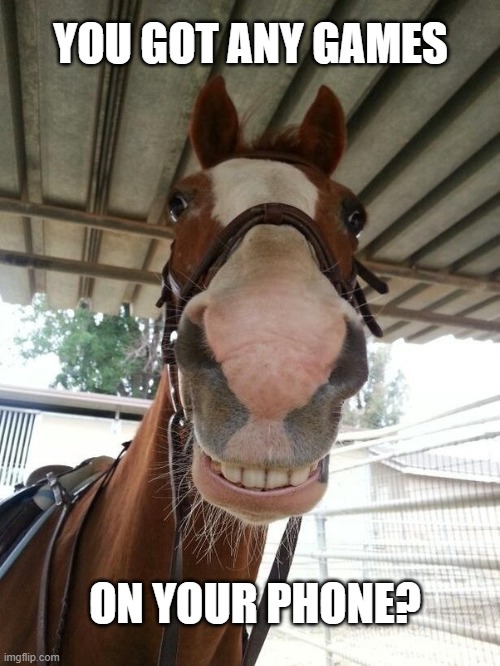 You got any games on your phone? | YOU GOT ANY GAMES; ON YOUR PHONE? | image tagged in horse | made w/ Imgflip meme maker