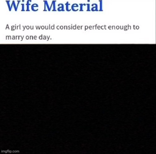 Wife Material | image tagged in wife material | made w/ Imgflip meme maker
