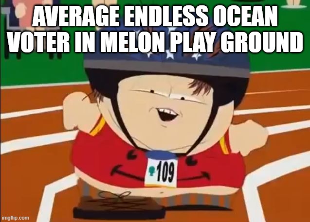 cartman derrr | AVERAGE ENDLESS OCEAN VOTER IN MELON PLAY GROUND | image tagged in cartman derrr | made w/ Imgflip meme maker