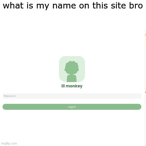 what is my name on this site bro | made w/ Imgflip meme maker