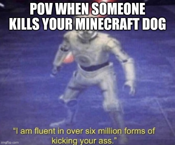 how dare you | POV WHEN SOMEONE KILLS YOUR MINECRAFT DOG | image tagged in i am fluent in over six million forms of kicking your ass | made w/ Imgflip meme maker