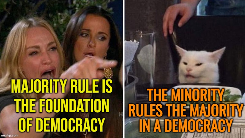 The Minority Rules The Majority In A Democracy | MAJORITY RULE IS
THE FOUNDATION
OF DEMOCRACY; THE MINORITY
RULES THE MAJORITY
IN A DEMOCRACY | image tagged in woman yelling at white cat,i love democracy,democracy,democratic socialism,politics lol,politics suck | made w/ Imgflip meme maker