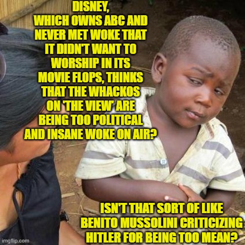 What's Disney up to now? | DISNEY, WHICH OWNS ABC AND NEVER MET WOKE THAT IT DIDN'T WANT TO WORSHIP IN ITS MOVIE FLOPS, THINKS THAT THE WHACKOS ON 'THE VIEW' ARE BEING TOO POLITICAL AND INSANE WOKE ON AIR? ISN'T THAT SORT OF LIKE BENITO MUSSOLINI CRITICIZING HITLER FOR BEING TOO MEAN? | image tagged in third world skeptical kid | made w/ Imgflip meme maker
