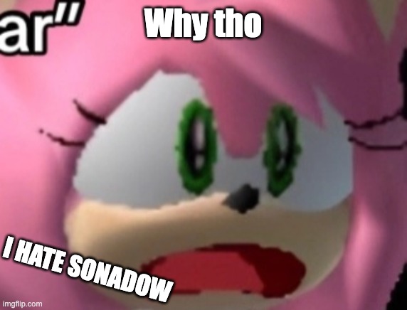 D: | Why tho; I HATE SONADOW | image tagged in d | made w/ Imgflip meme maker