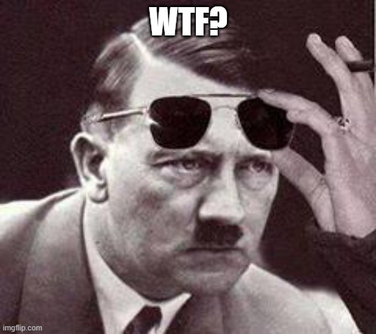 hitler sunglasses | WTF? | image tagged in hitler sunglasses | made w/ Imgflip meme maker