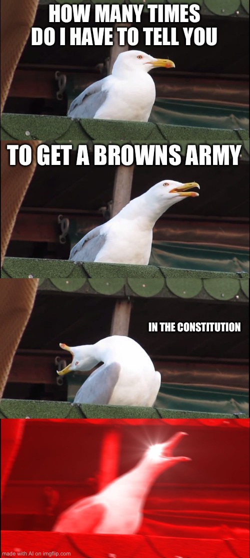 Inhaling Seagull | HOW MANY TIMES DO I HAVE TO TELL YOU; TO GET A BROWNS ARMY; IN THE CONSTITUTION | image tagged in memes,inhaling seagull | made w/ Imgflip meme maker