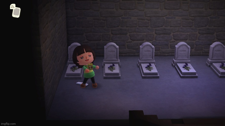 Day three of Chara but animal crossing | image tagged in chara,animal crossing | made w/ Imgflip meme maker