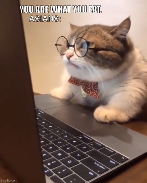 Well ok bruh lol | YOU ARE WHAT YOU EAT. ASIANS: | image tagged in research cat,chinese food | made w/ Imgflip meme maker