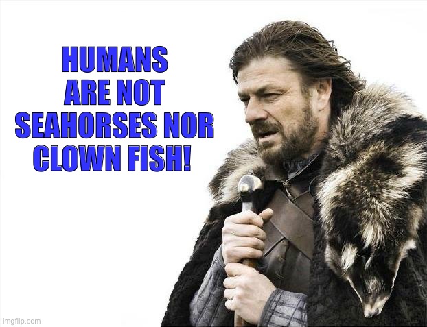 Get that to your brain | HUMANS ARE NOT SEAHORSES NOR CLOWN FISH! | image tagged in memes,fish | made w/ Imgflip meme maker