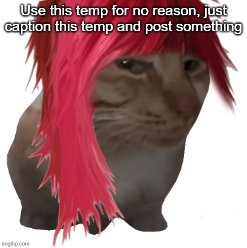 do it | image tagged in do it | made w/ Imgflip meme maker