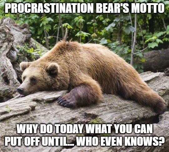 Procrastination Bear | PROCRASTINATION BEAR'S MOTTO; WHY DO TODAY WHAT YOU CAN PUT OFF UNTIL... WHO EVEN KNOWS? | image tagged in procrastination bear | made w/ Imgflip meme maker
