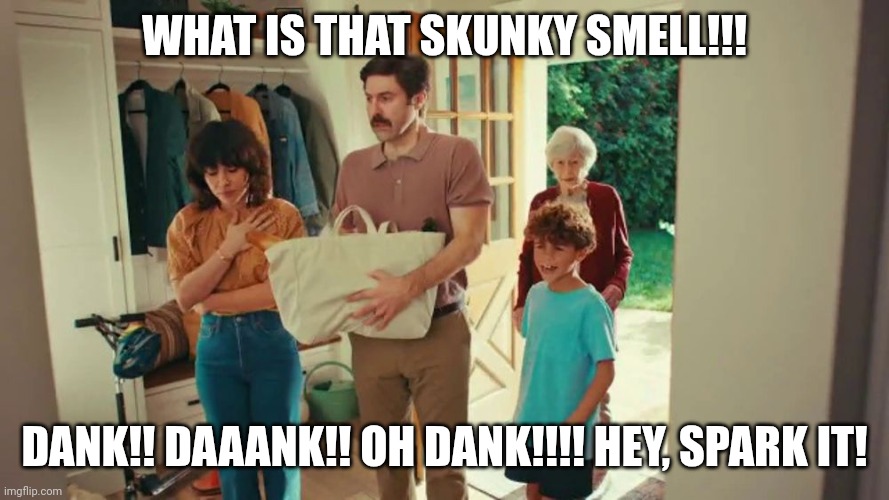 Dank | WHAT IS THAT SKUNKY SMELL!!! DANK!! DAAANK!! OH DANK!!!! HEY, SPARK IT! | image tagged in dank memes | made w/ Imgflip meme maker