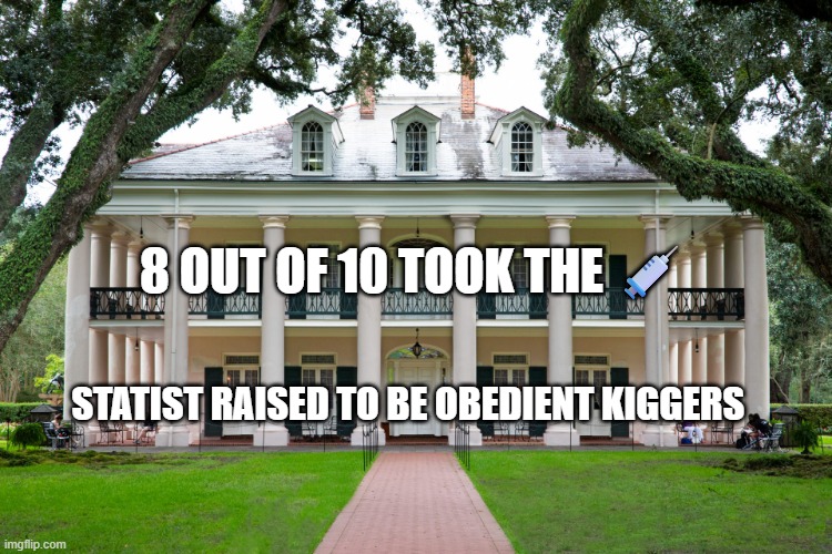 Plantation | 8 OUT OF 10 TOOK THE 💉; STATIST RAISED TO BE OBEDIENT KIGGERS | image tagged in plantation | made w/ Imgflip meme maker