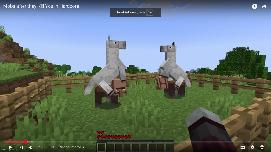 image tagged in cursed image | made w/ Imgflip meme maker