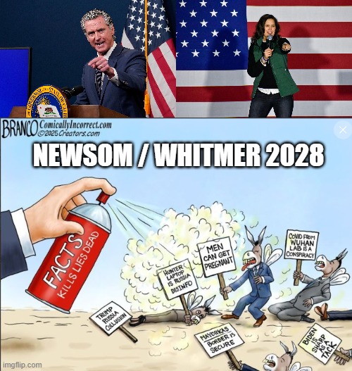 Newsom / Whitmer 2028 | NEWSOM / WHITMER 2028 | image tagged in newsom,whitmer,2028 | made w/ Imgflip meme maker