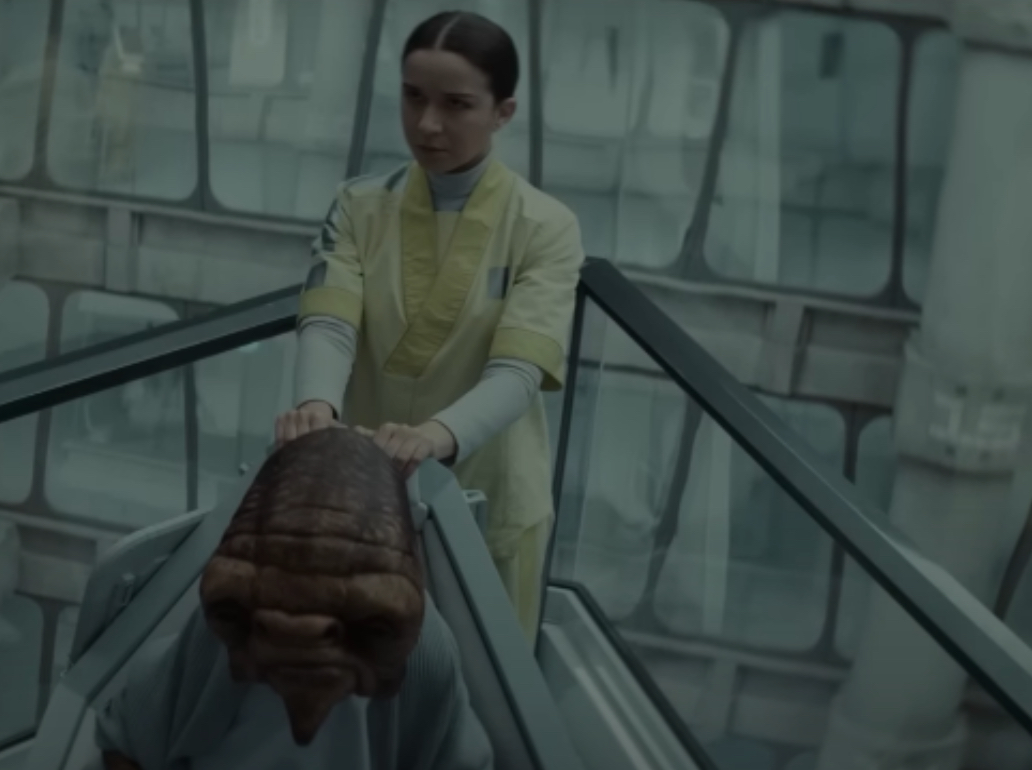 Kleya what alien Blank Meme Template