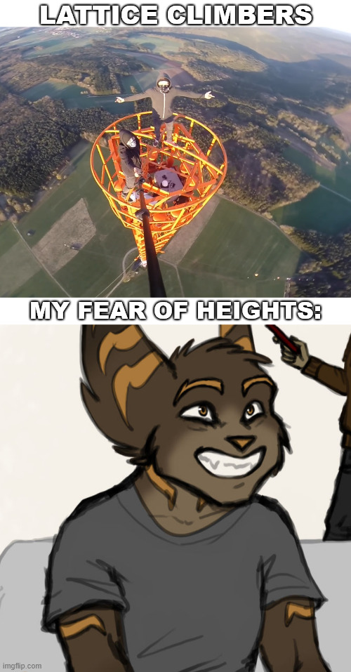 Lombax lattice climbing meme | LATTICE CLIMBERS; MY FEAR OF HEIGHTS: | image tagged in lattice climbing,ratchet and clank,lombax,dark humor,climbing,gaming | made w/ Imgflip meme maker